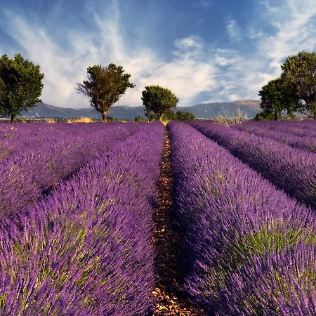 Mas Coeur Provence Calme Beaute Grand Parc *